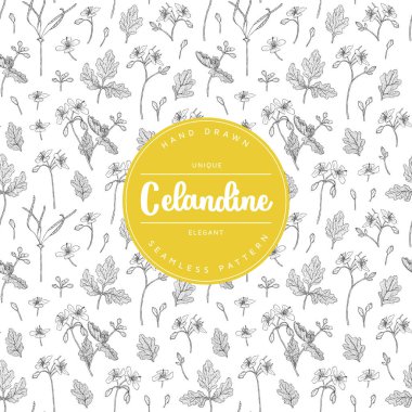 Celandine çiçek deseni.