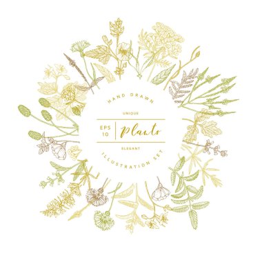 Vector floral afiş.