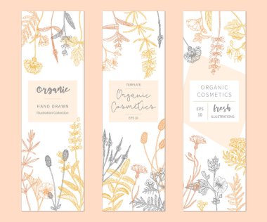 Vektör çiçek şablonları.