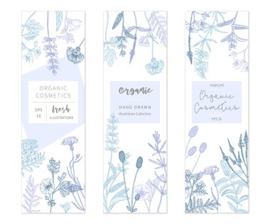 Vektör çiçek şablonları.