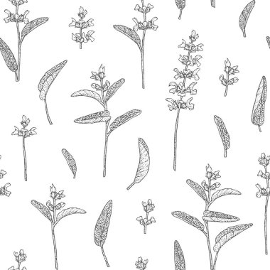 Adaçayı çiçeği deseni.