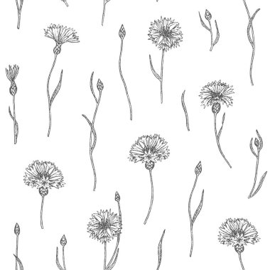 Cornflower seamless modeli.