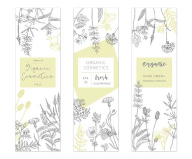 Vektör çiçek şablonları.