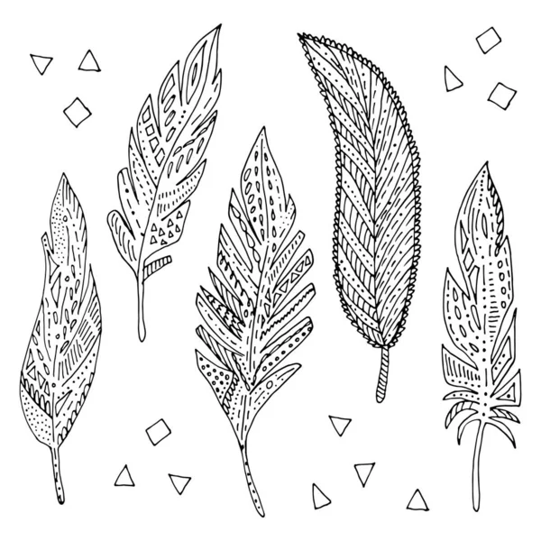 Feather elements set. — Stock Vector