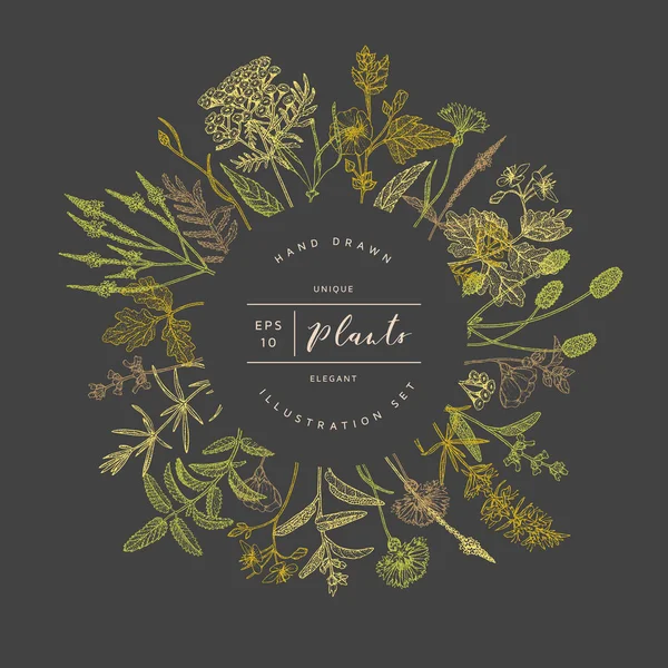 Vector floral afiş.