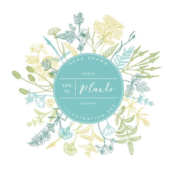 Vector floral afiş.