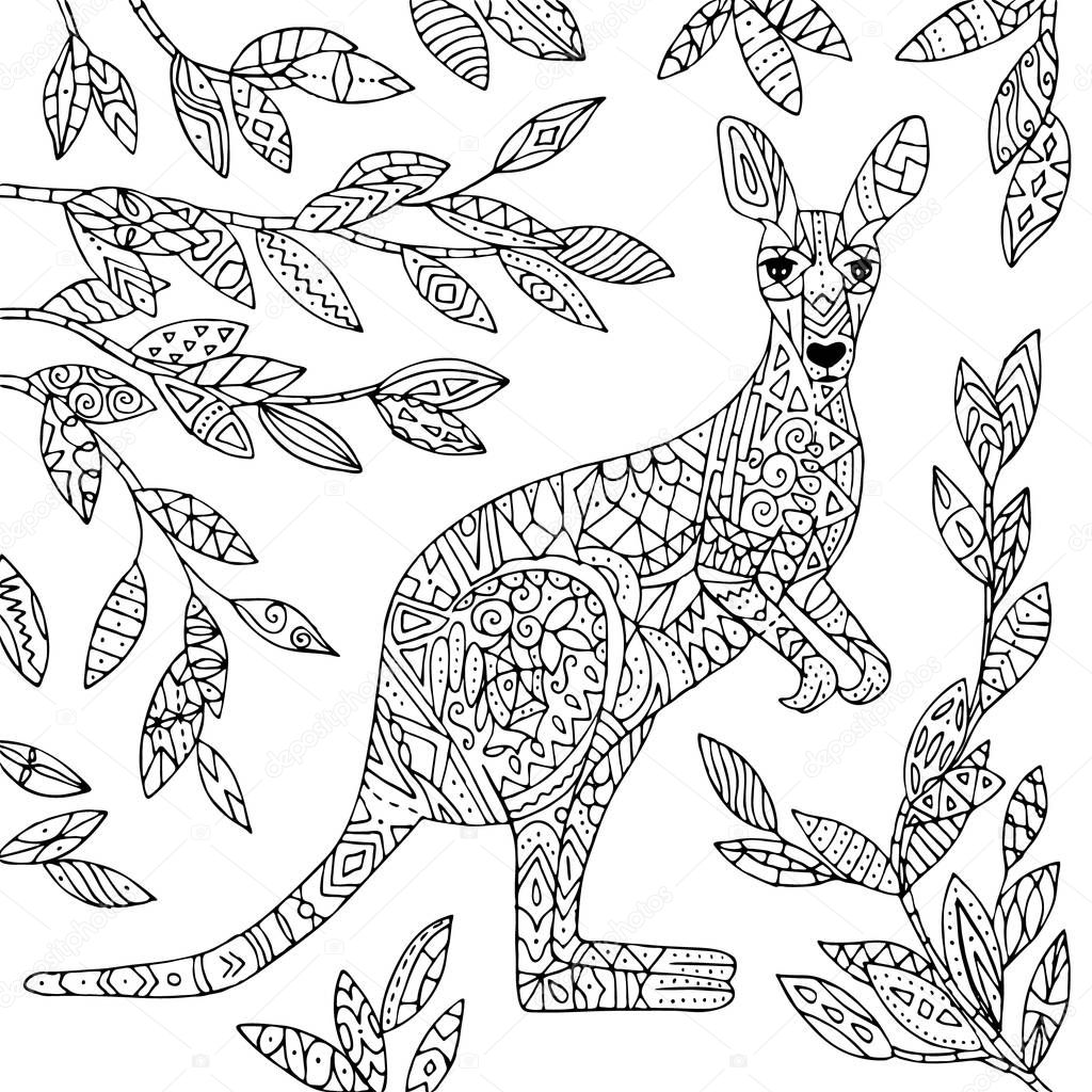 Kangaroo illustration.