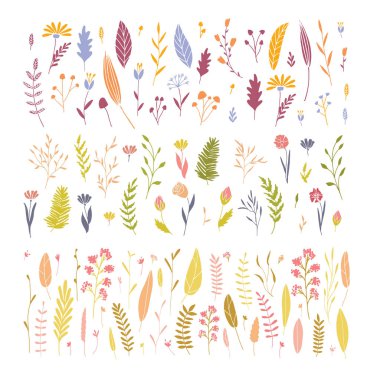 vektör çiçekli set.