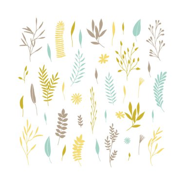 vektör çiçekli set.