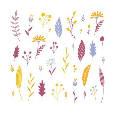 vektör çiçekli set.