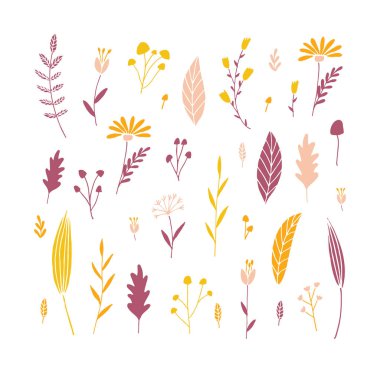 vektör çiçekli set.