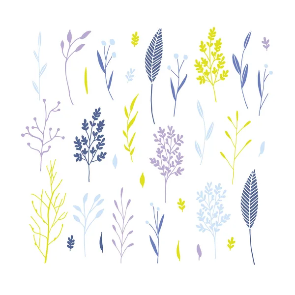 Vector branch set.