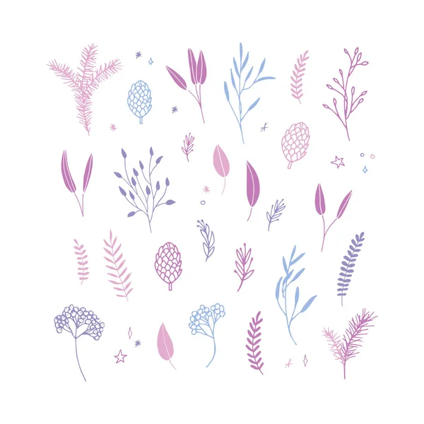 Vector branch set.