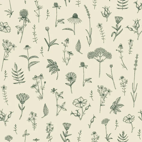 Motif des plantes . — Image vectorielle