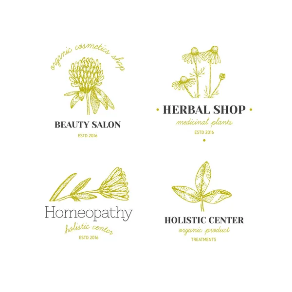 Logotipos herbales . — Archivo Imágenes Vectoriales