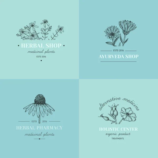 Logotipos herbales . — Archivo Imágenes Vectoriales