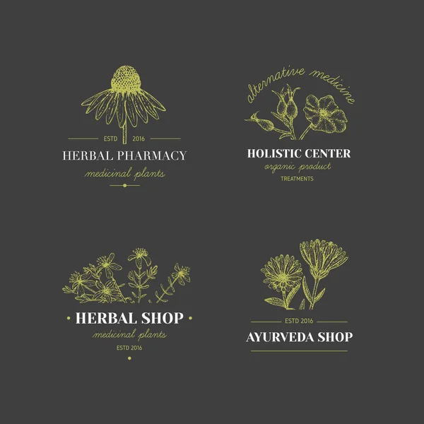 Herbal logos. — Stock Vector