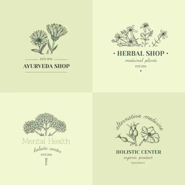 Logotipos herbales . — Vector de stock