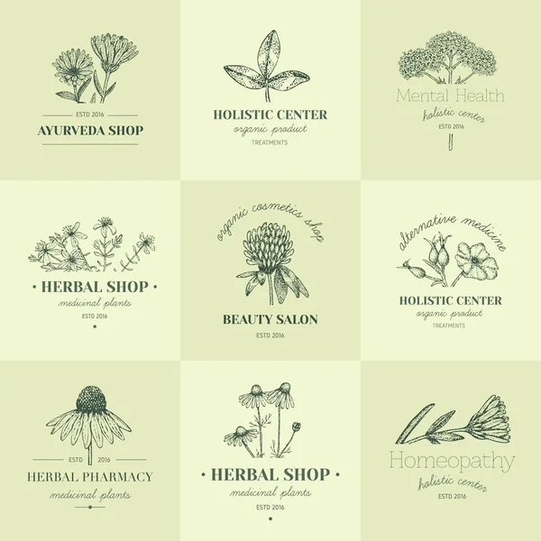 Herbal logos. — 스톡 벡터
