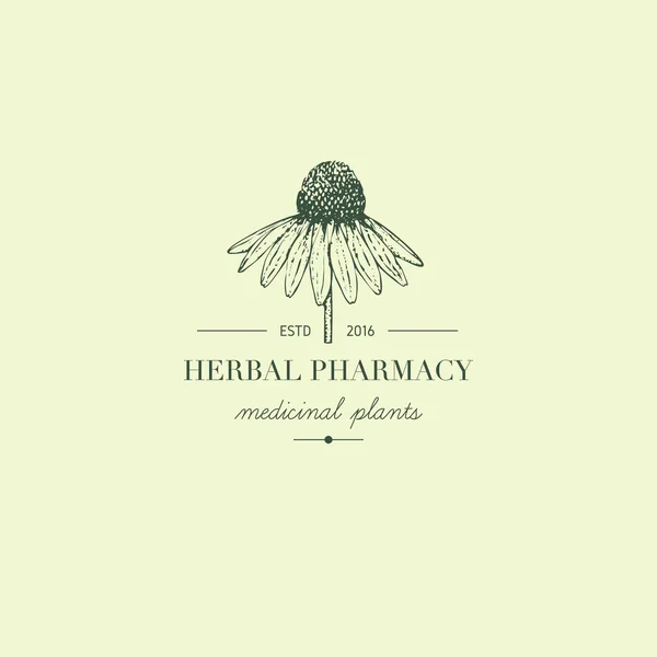 Herbal logo. — Stock Vector
