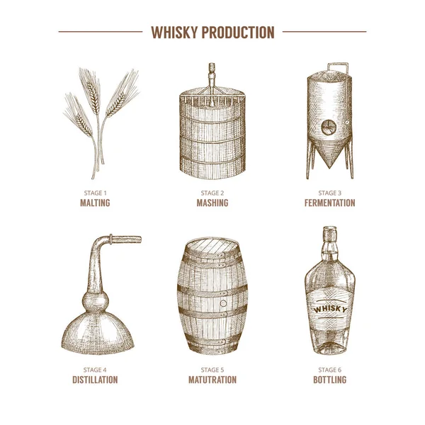 Producción de whisky . — Vector de stock