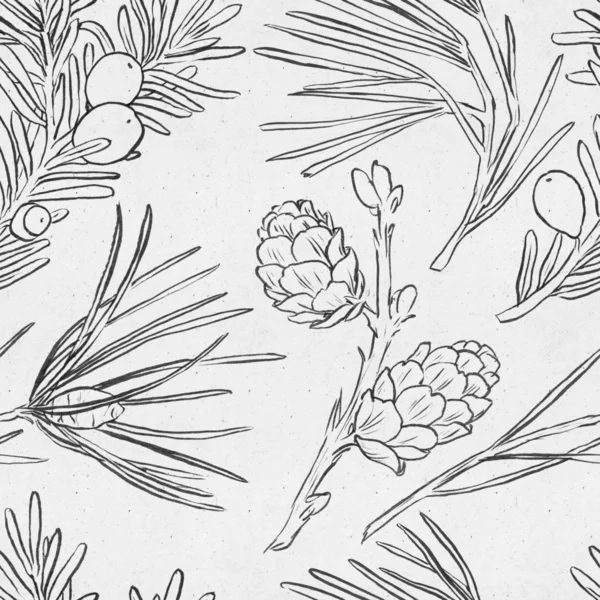잎 및 소나무 콘 패턴 — 스톡 사진