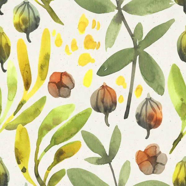 Naadloze Aquarel Bloemenpatroon Papier Textuur Botanische Achtergrond — Stockfoto