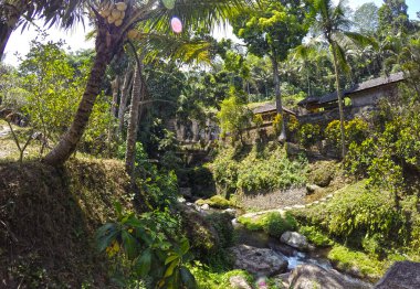 Bali mezar Kings tarihi tapınak Kawi Gunung