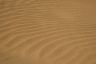 Kum arka plan Beach çöl şekli yapısı