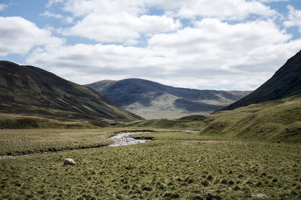 Droga jazda przez góry Highlands — Zdjęcie stockowe