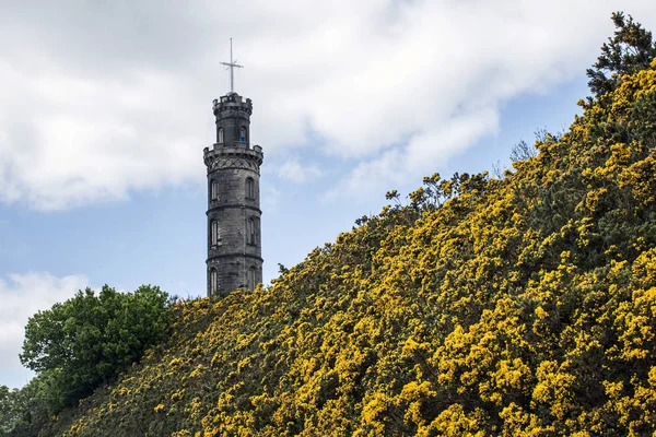 Edinburgh şehir tarihi Calton Hill Anıtı sarı çiçek — Stok fotoğraf