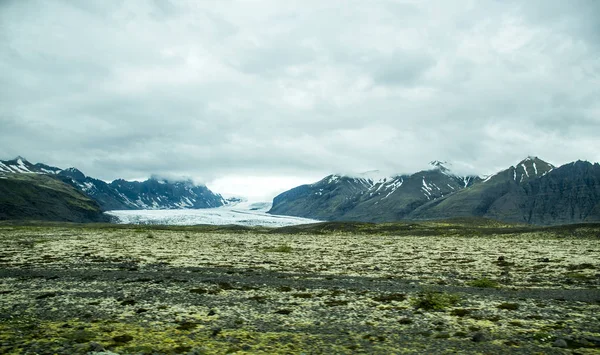 Landschap van IJsland groen gras sneeuw gletsjer 5 — Stockfoto