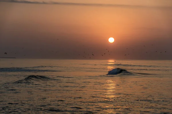 Úžasný západ slunce červené vlny na pláži Salalah Omán 3 — Stock fotografie