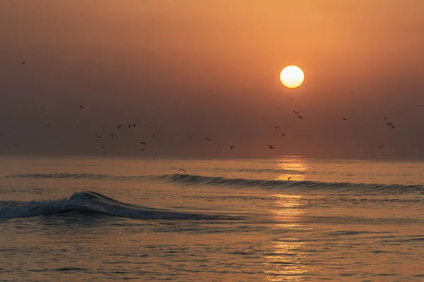 Amazing zonsondergang rood golven op het strand Salalah, Oman 4 — Stockfoto