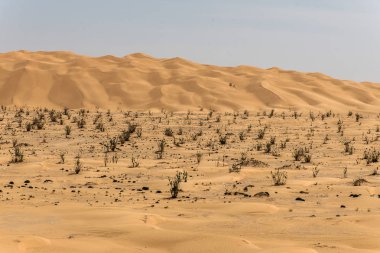 açık kum desen dune Umman eski çöl rub al hali