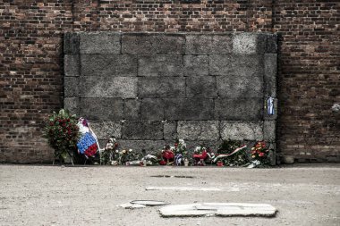 Blok 10 yürütme duvar toplama kampı Auschwitz Birkenau'da Kz Polonya 2