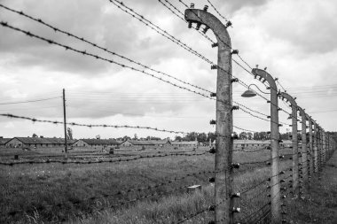 Dikenli tel toplama kampı Auschwitz Birkenau KZ Polonya 5