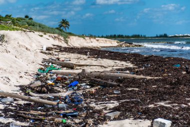 Meksika okyanus kirliliği sorunu plastik çöp