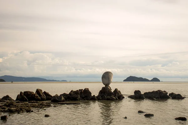 Grande conchiglia su rocce vicino all'oceano blu con sfondo spiaggia Koh Phangan isola Thailandia — Foto Stock