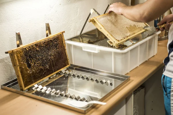 Favo aperto unwax apicoltore forchetta senza tappo per il raccolto dorato delizioso miele primo piano — Foto Stock
