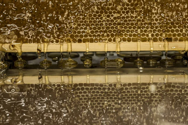 光沢のある黄色の黄金の蜂蜜櫛反射鏡甘い蜂蜜滴の流れ収穫中に背景とテキストスペース — ストック写真