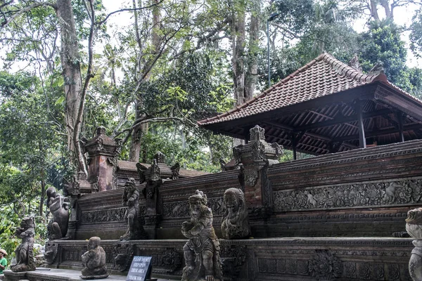 Bali Indonesia Ubud Mono Bosque Templo —  Fotos de Stock