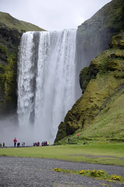 Skogafoss güzel şelale yeşil İzlanda 2 — Stok fotoğraf