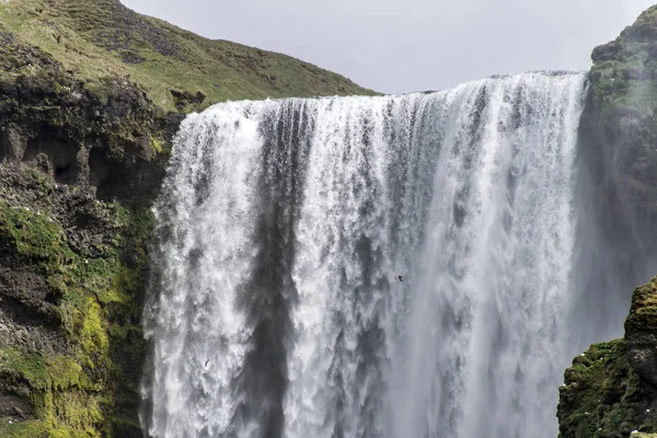 Skogafoss bela cachoeira verde Islândia — Fotografia de Stock