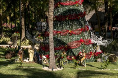 Avuç içi cancun Meksika yaz aylarında güneş arasında kırmızı bant ile genel Noel ağacı