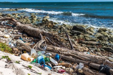 Meksika okyanus kirliliği sorunu plastik çöp 7