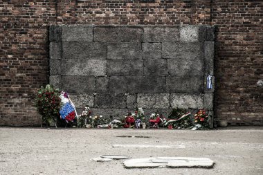 Blok 10 yürütme duvar toplama kampı Auschwitz Birkenau'da Kz Polonya 2