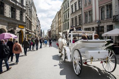 Ana meydanında bir yaz günü, Polonya Krakow, at arabası