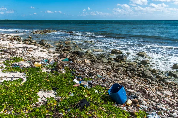 Mexico ocean Pollution Problem plastic litter 9