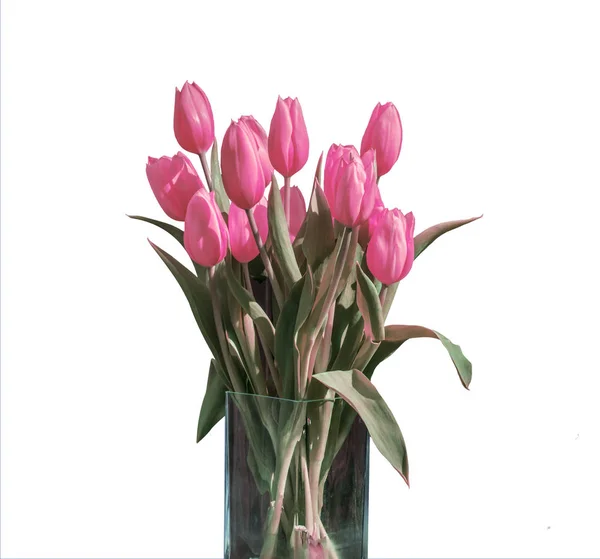 バケット バージョン 2 で白い背景に分離されたピンクのチューリップの春の花束 — ストック写真